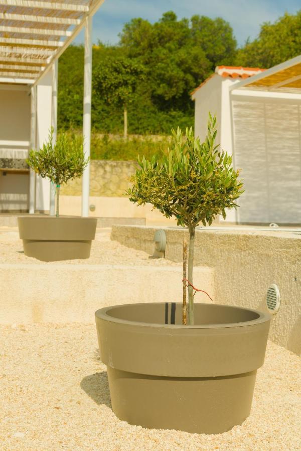 The Leaf House - Kefalonia Ληξούρι Εξωτερικό φωτογραφία